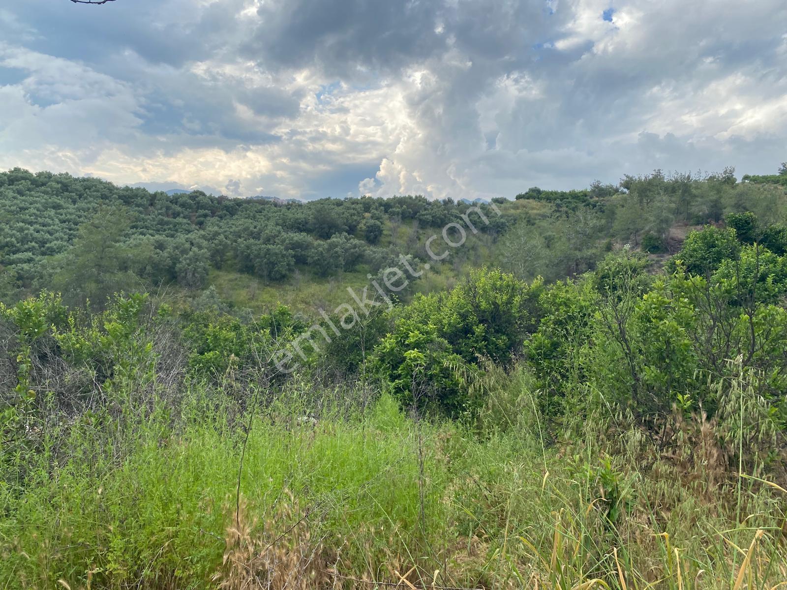 **nova** Bozön Mh. Üniversite Otoban Arası 3.980 M2 Satılık Arsa - Görsel 3