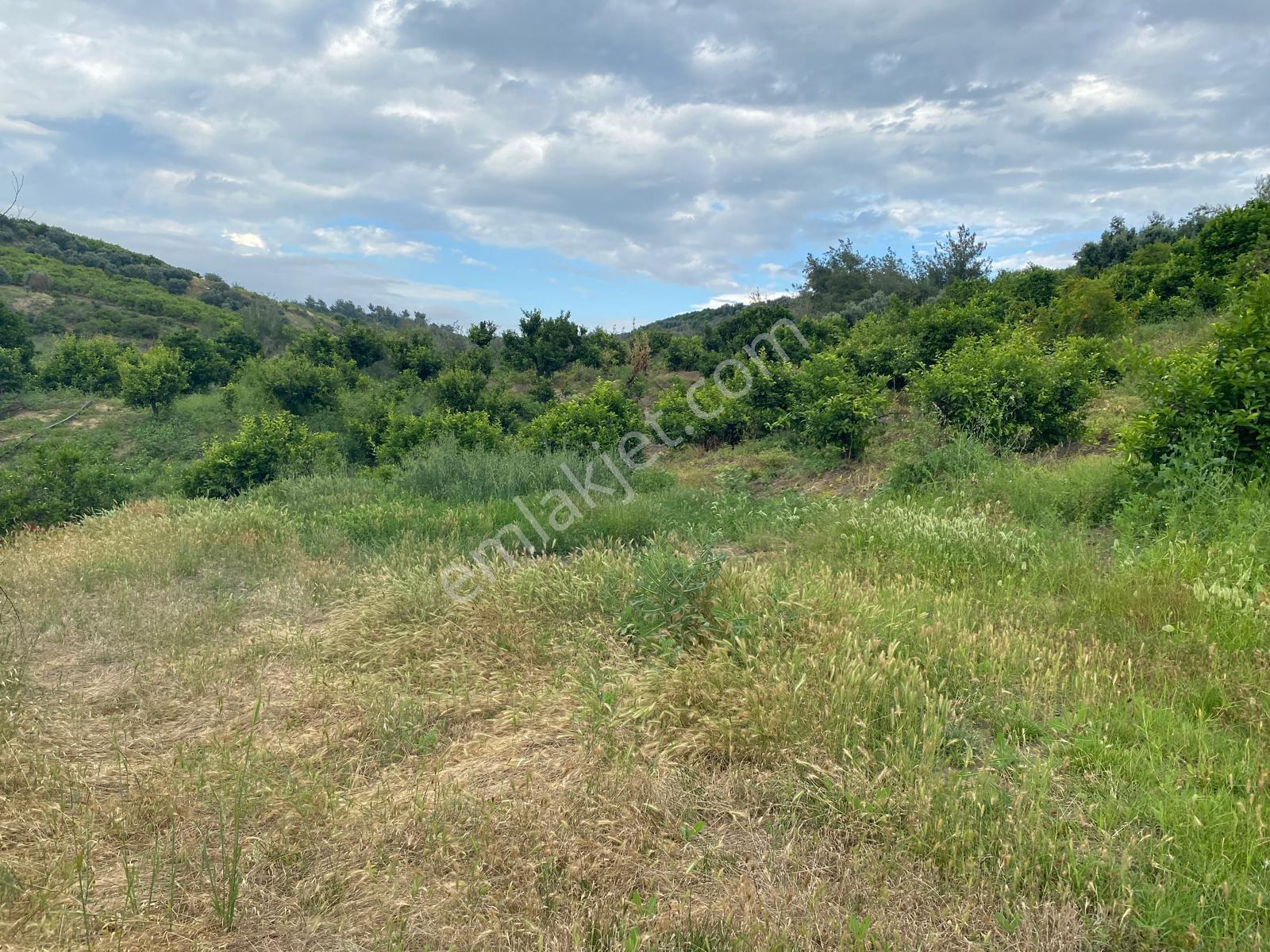 **nova** Bozön Mh. Üniversite Otoban Arası 3.980 M2 Satılık Arsa - Görsel 8
