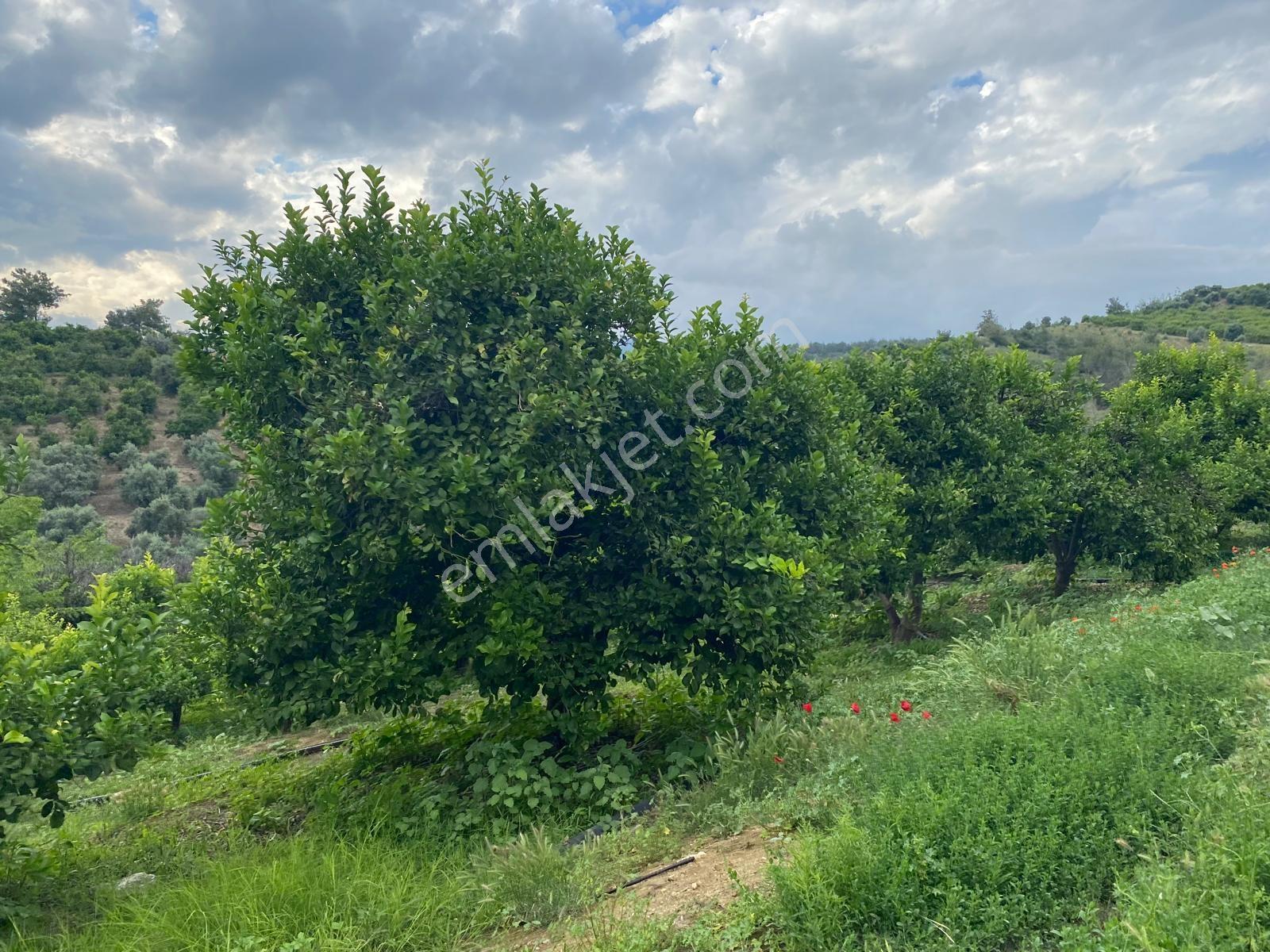 **nova** Bozön Mh. Üniversite Otoban Arası 3.980 M2 Satılık Arsa - Görsel 12
