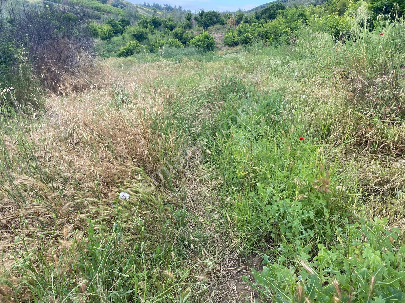 **nova** Bozön Mh. Üniversite Otoban Arası 3.980 M2 Satılık Arsa - Görsel 4