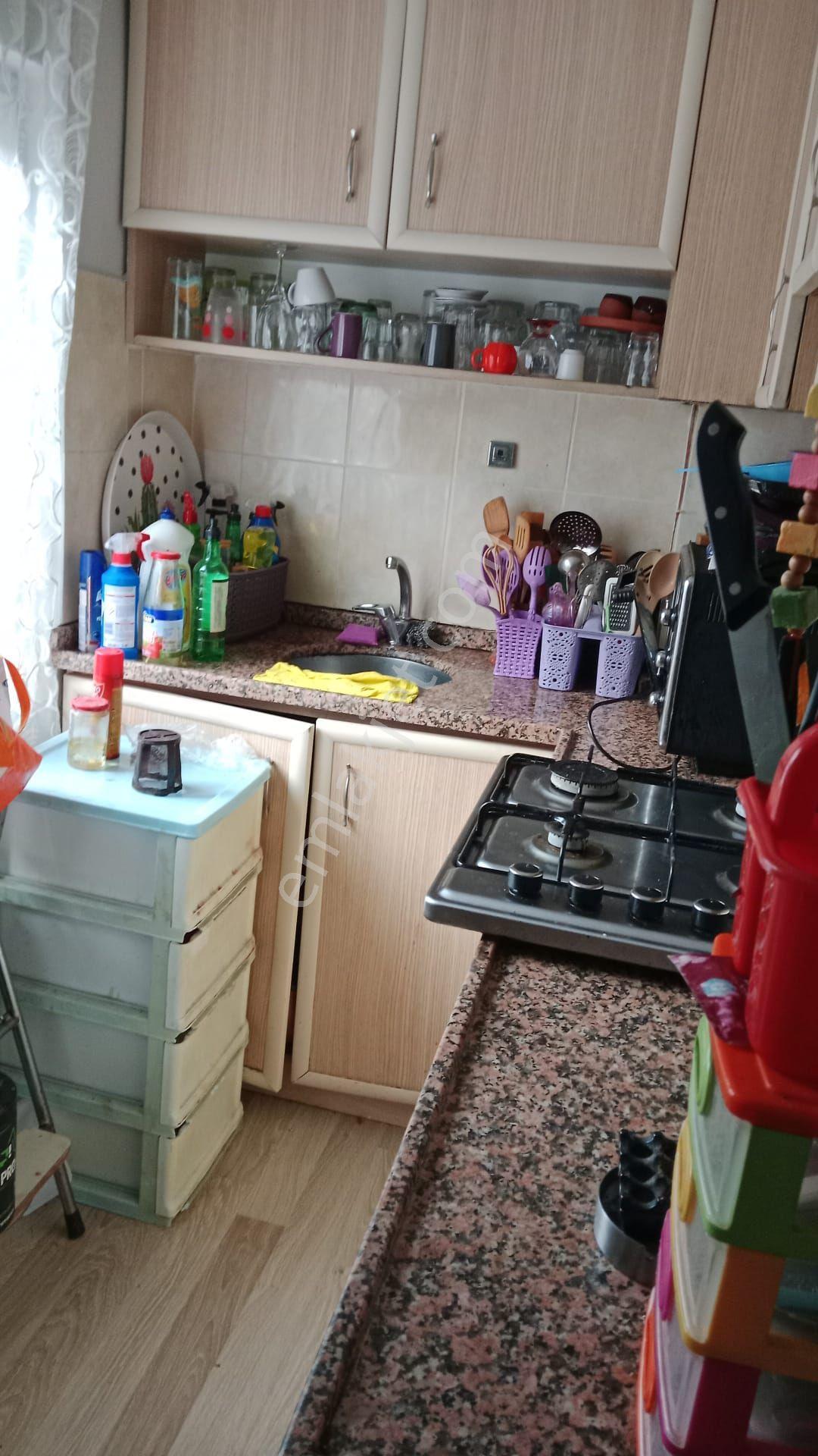 Gemlik Demirsubasisatilik - Görsel 5