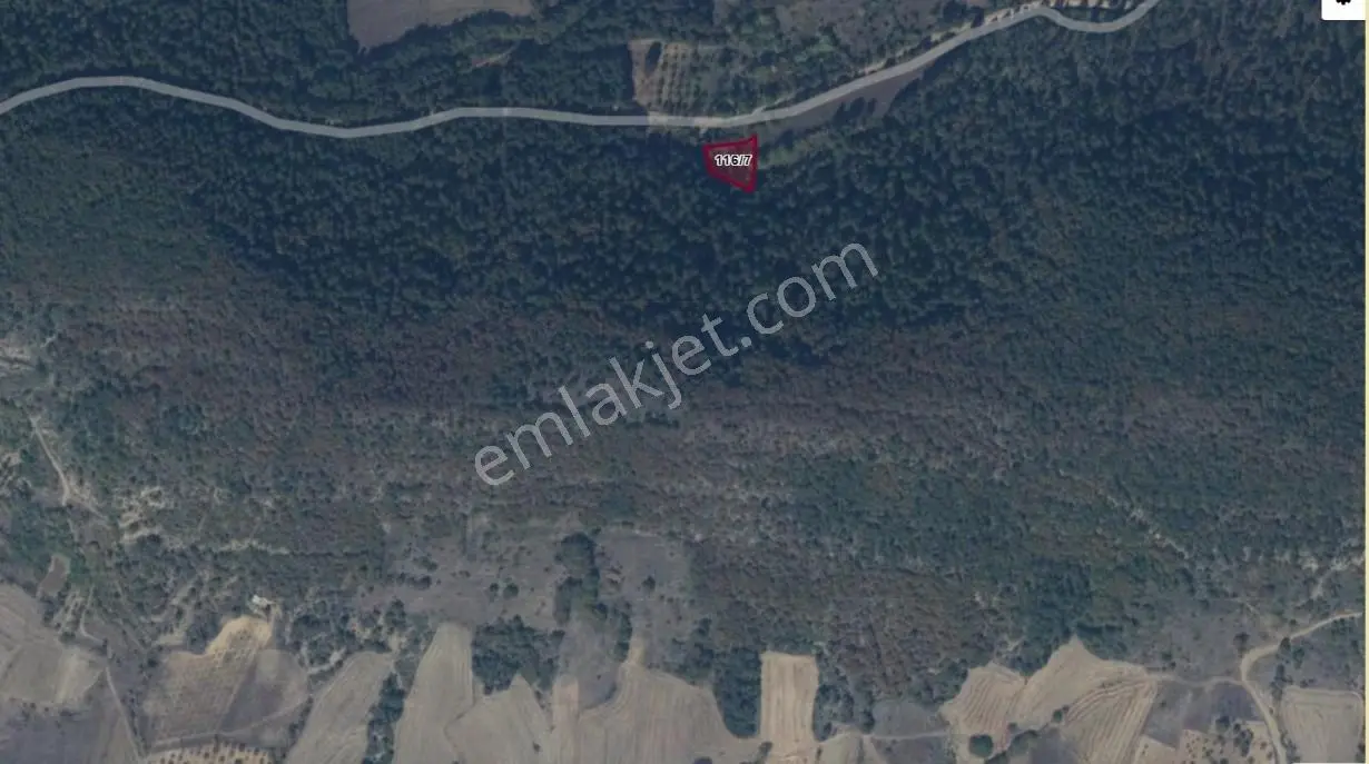 Bilecik Gölpazarında Kaçırılmayacak 1075 M² Bahçe - Görsel 3
