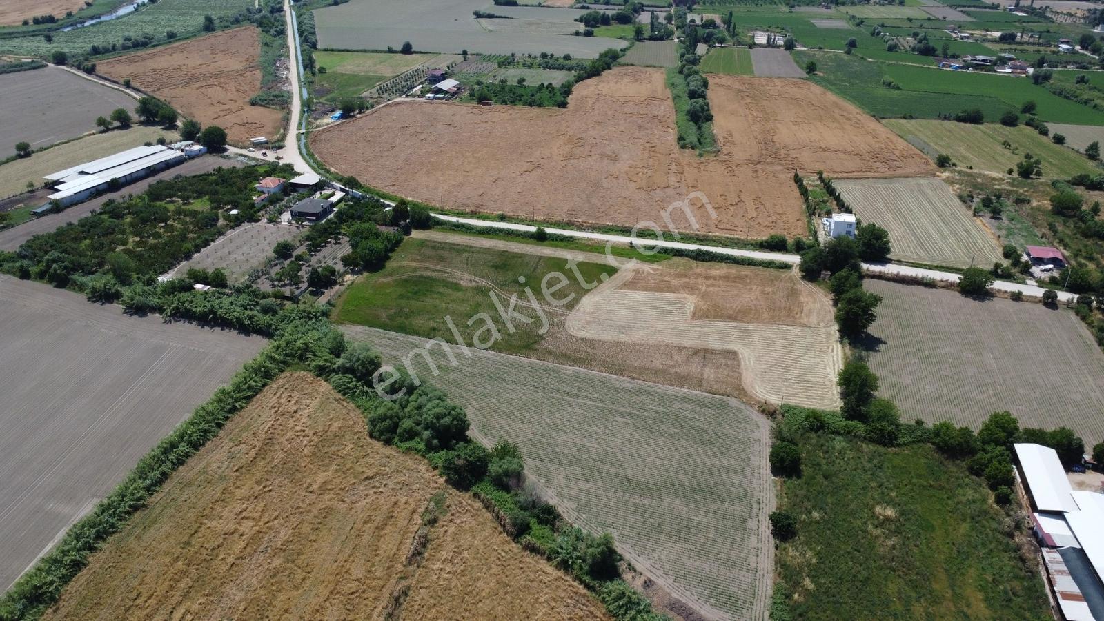 Serçeköy'de 6030 M2 Tek Tapu Satılık Arsa - Görsel 4