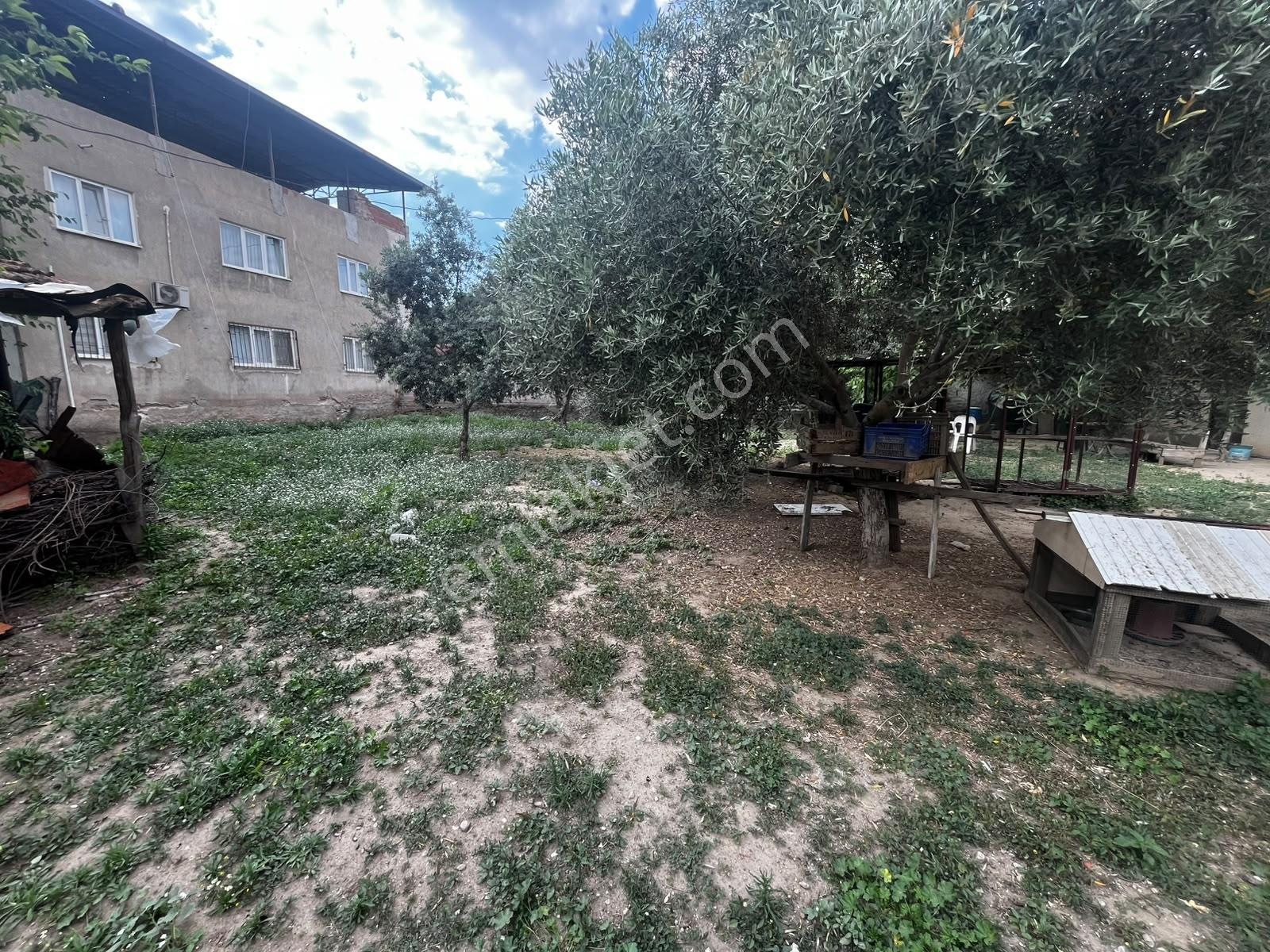 Umurluda 2 Adet 3 Kat İmarlı 6 Dairelik Arsa - Görsel 17