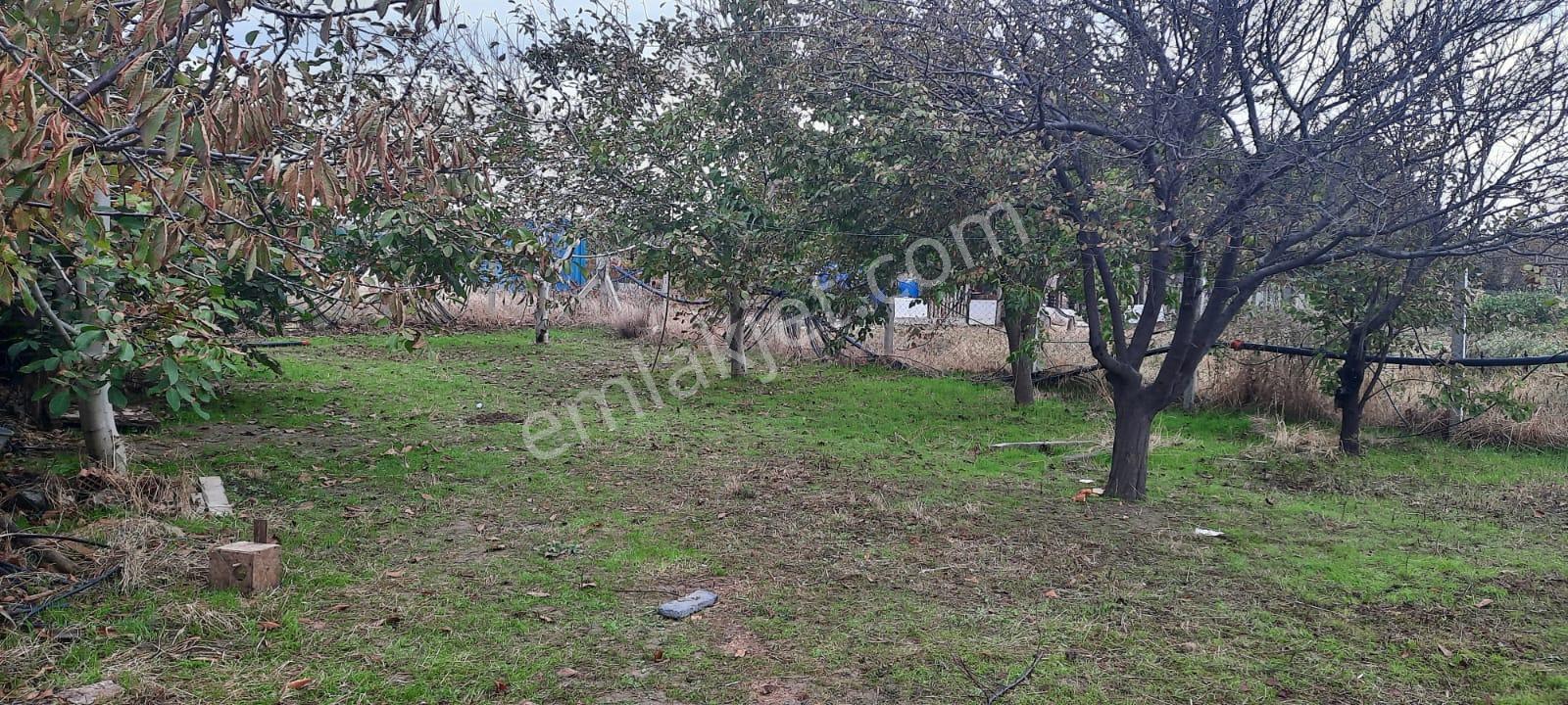 Sahibinden Gelibolu Eğritaş Bölgesinde Müstakil E - Görsel 14