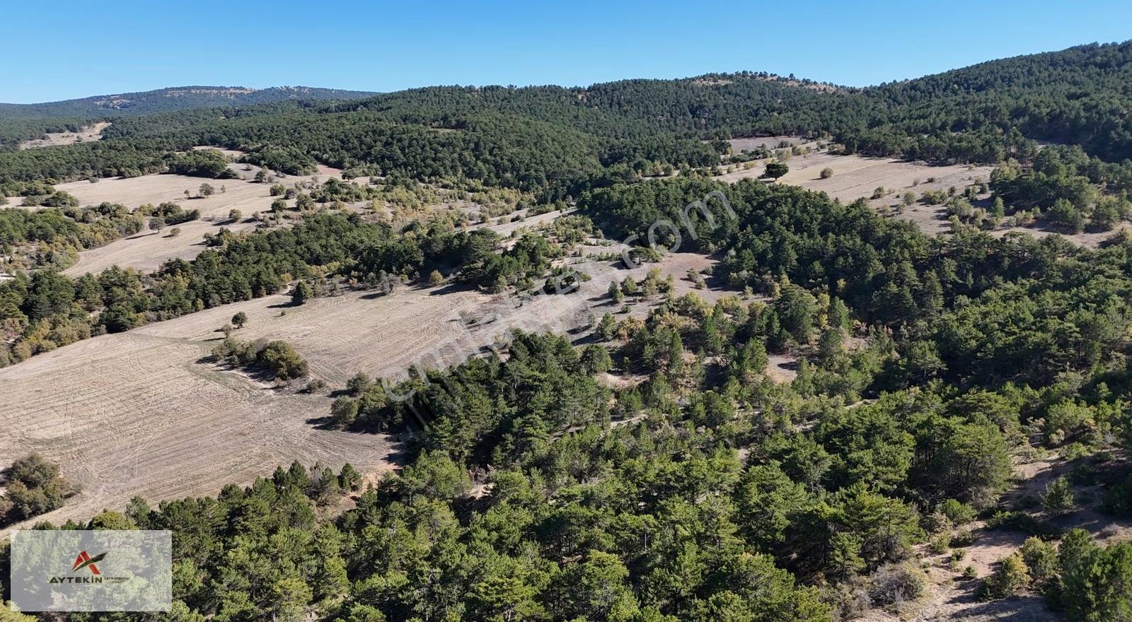 Ilgın Balkı Mahallesinde 2.515 M² Müstakil Tapulu Tarla - Görsel 6