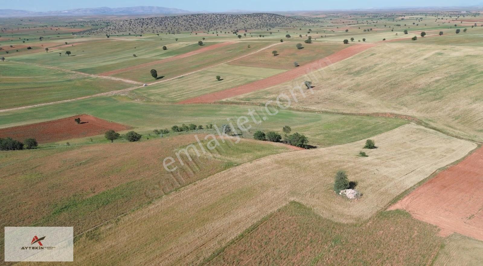 Akören Alan Mahallesinde 4.262 M² Müstakil Tapulu Tarla