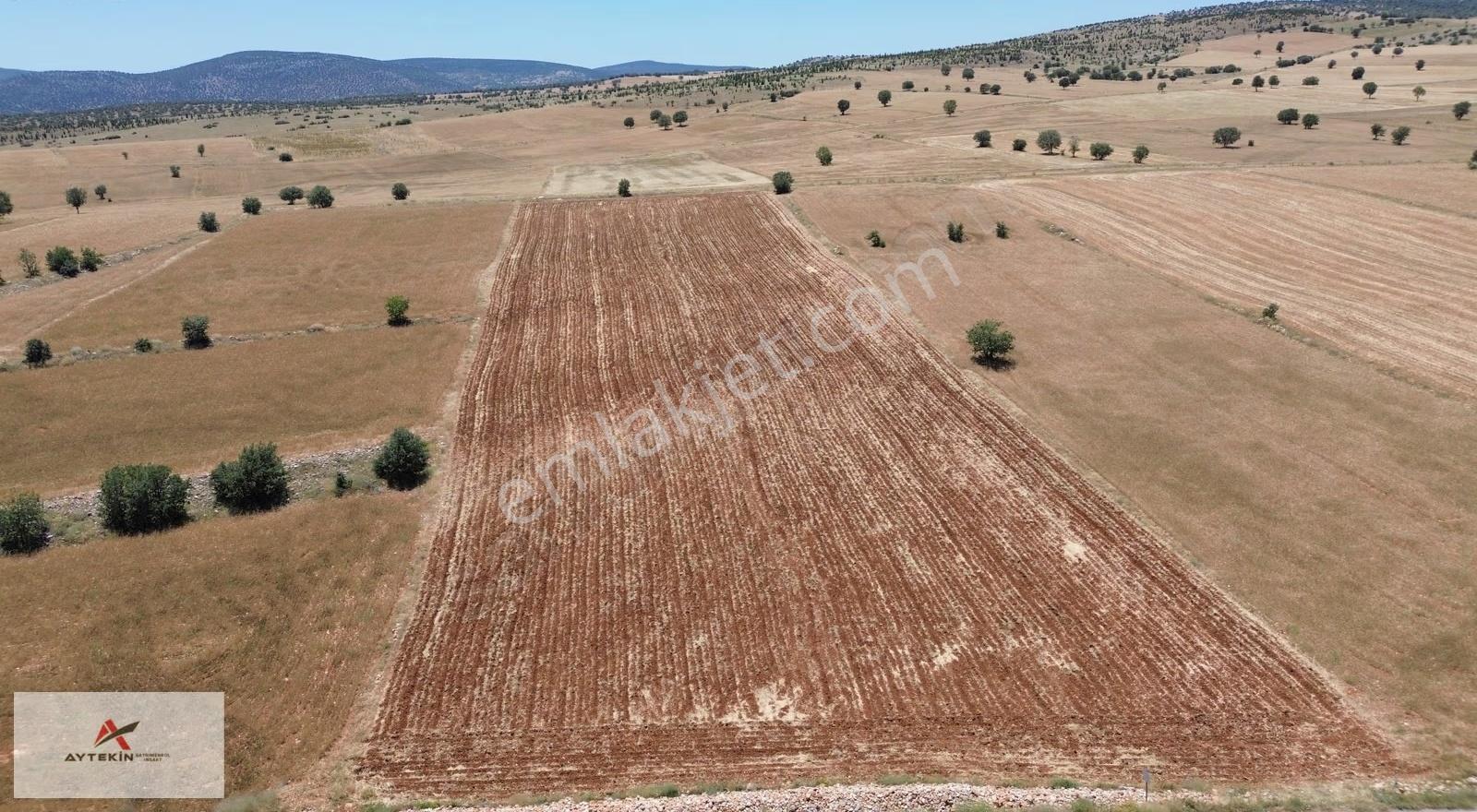 Çumra Apasaraycık Mahallesinde 10.560 M² Müstakil Tapulu Tarla - Görsel 13
