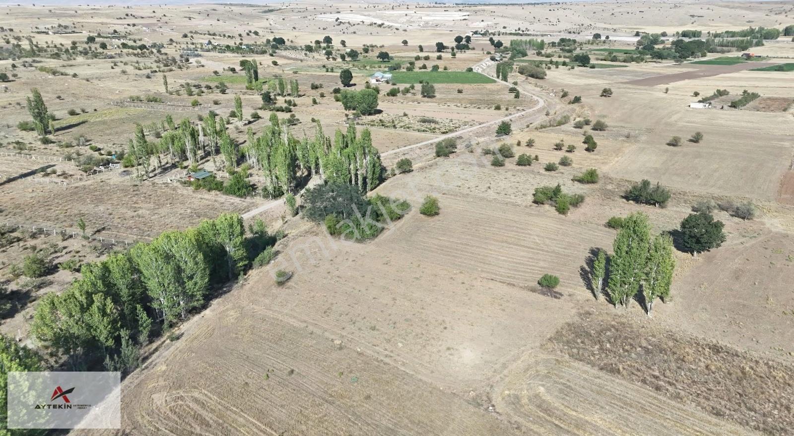 Akören Tülce Mahallesinde 3.589 M² Müstakil Tapulu Tarla - Görsel 10