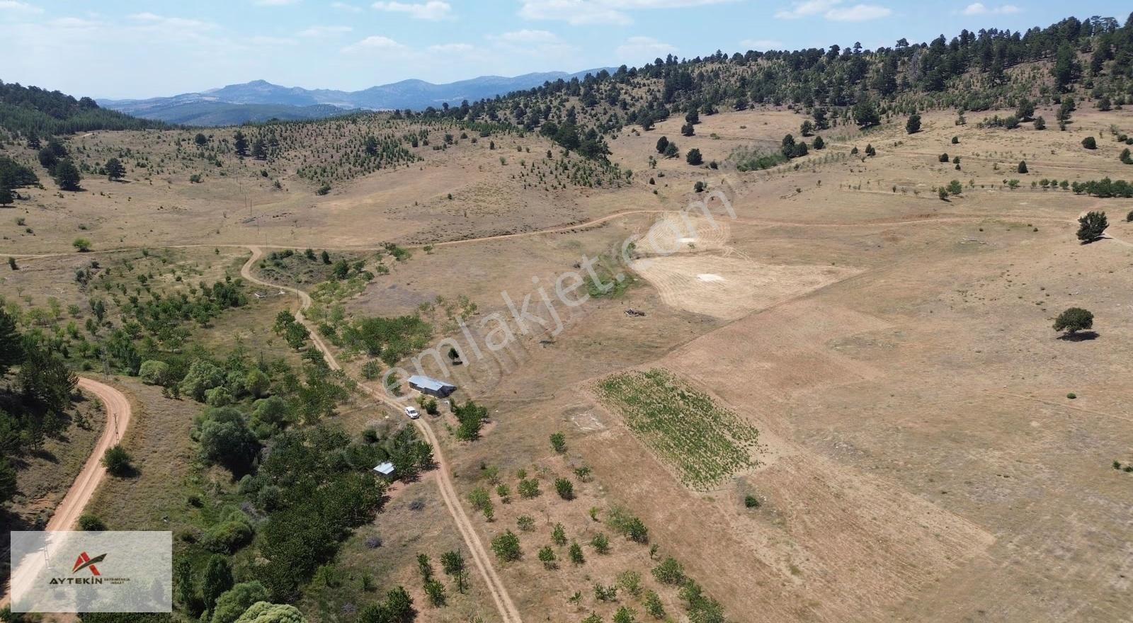 Hadim Göynükkışla Mahallesinde 500 M² Müstakil Tapulu Tarla