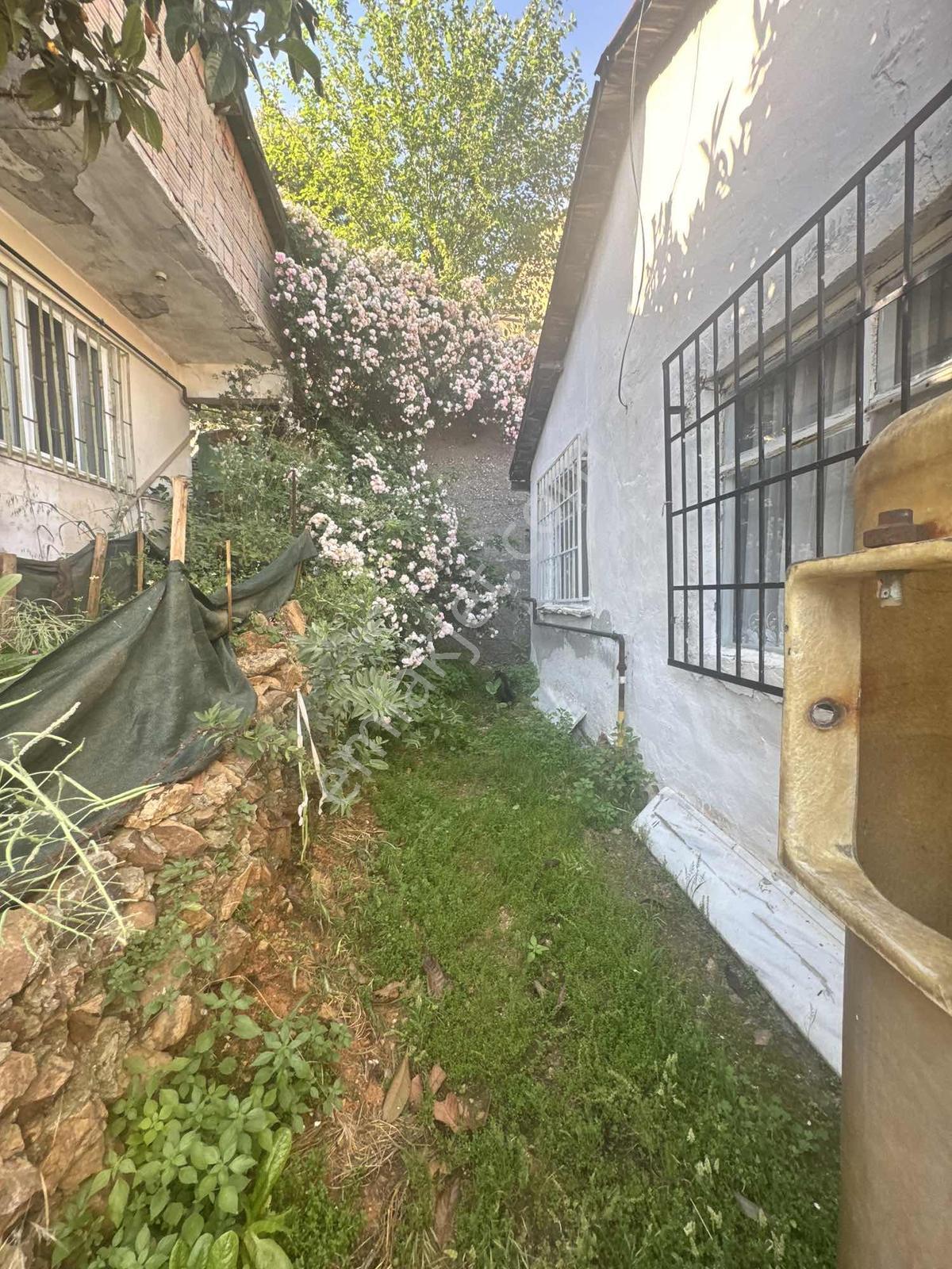Maltepe Gülsuyu Satılık Bahçeli Müstakil Ev - Görsel 16