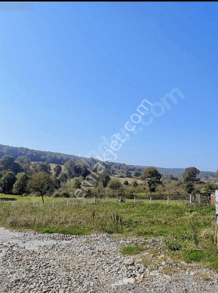 Sakarya Kaynarca Turnalı %40 İmarlı Satılık Arsa - Görsel 3