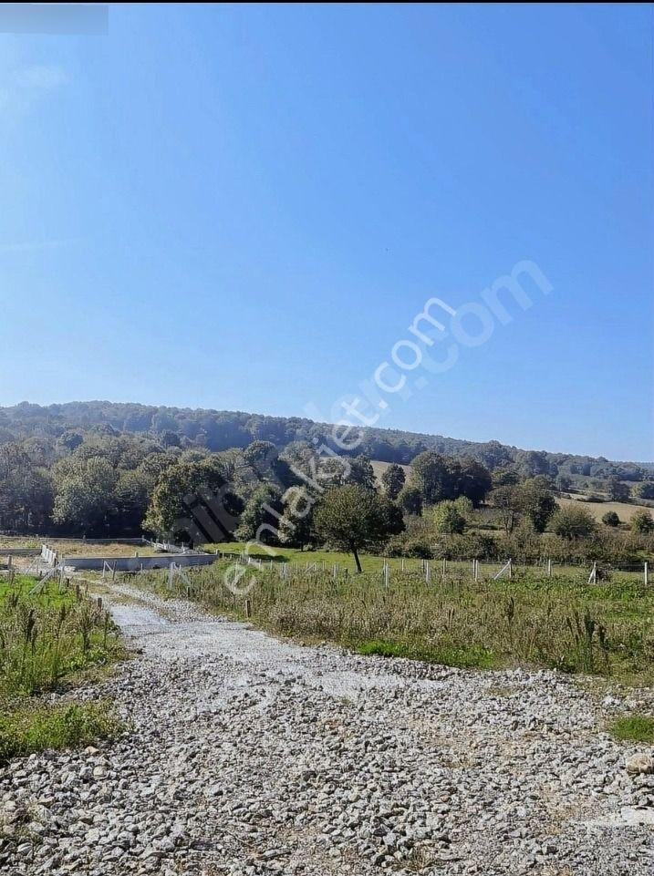 Sakarya Kaynarca Turnalı %40 İmarlı Satılık Arsa - Görsel 6