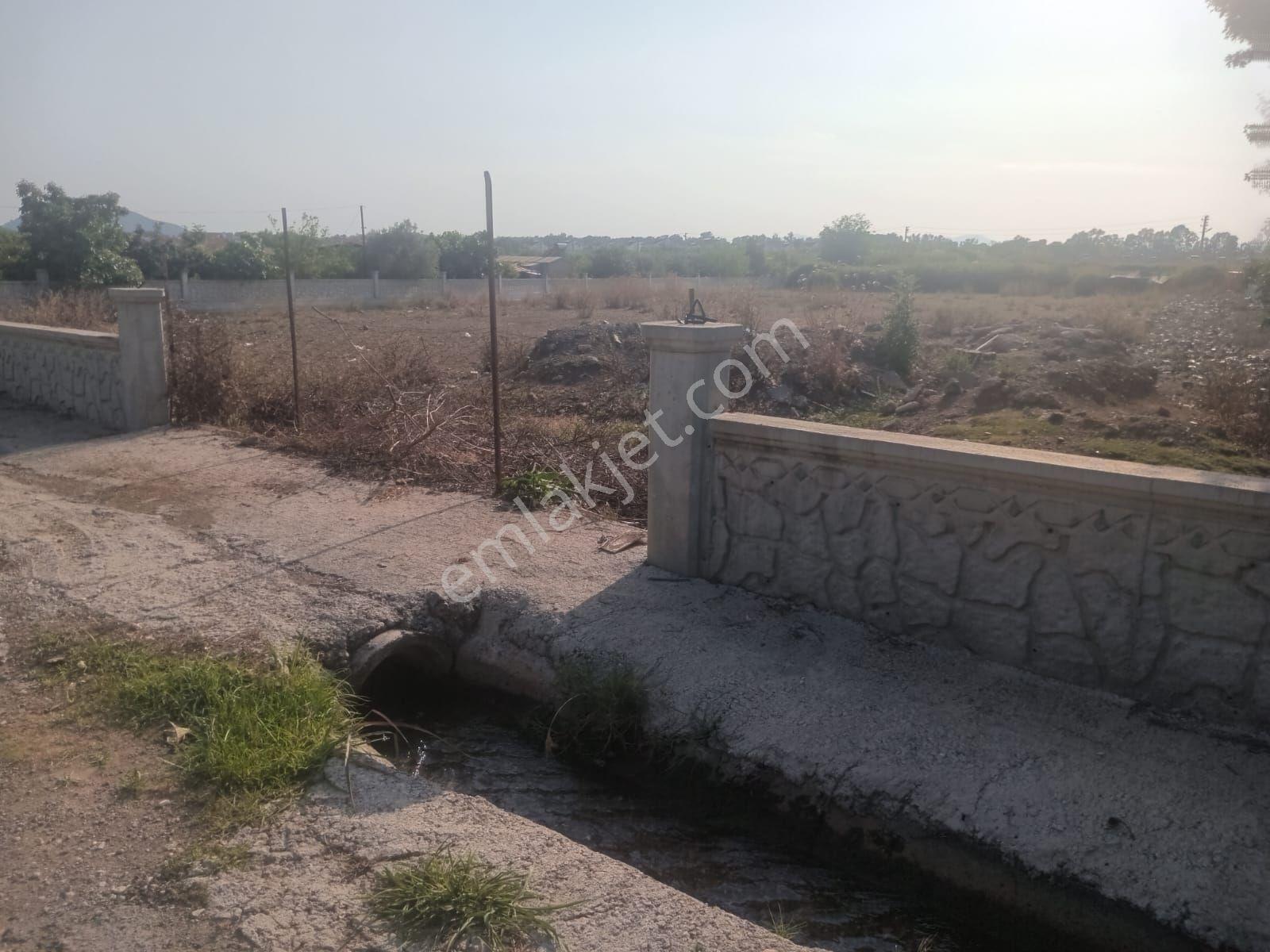 Falcon Dan Kargı Da Muhteşem 4589m² 0/10 İmarlı Arsa - Görsel 5