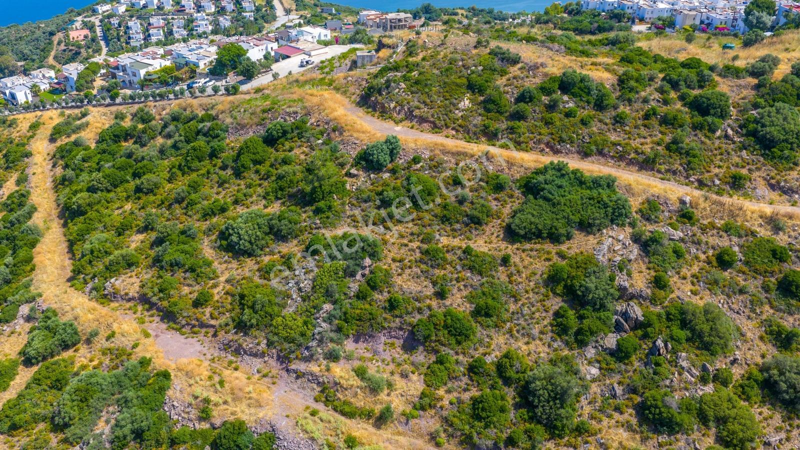 Milas Boğaziçi 1,229 M² Deniz Manzaralı Satılık Arsa - Görsel 8