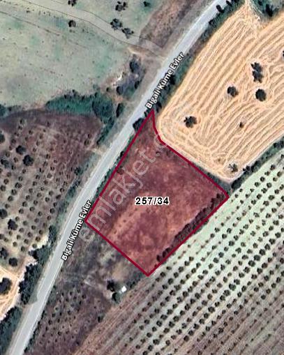 Çanakkale Eceabat Bigalı'da Denize Yakın Asfalta Cepheli Kupon Cevizlik - Görsel 6