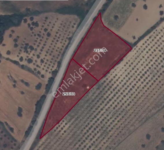 Çanakkale Eceabat Bigalı'da Denize Yakın Asfalta Cepheli Kupon Cevizlik - Görsel 22
