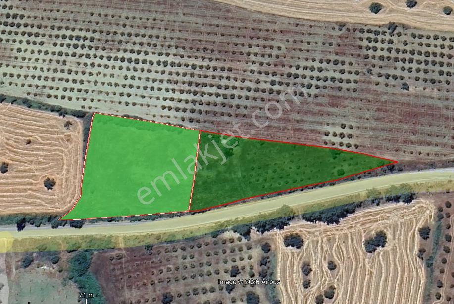 Çanakkale Eceabat Bigalı'da Denize Yakın Asfalta Cepheli Kupon Cevizlik - Görsel 8