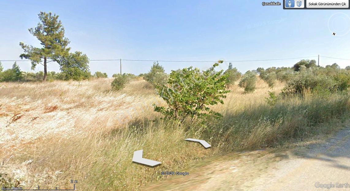 Çanakkale Eceabat Bigalı'da Denize Yakın Asfalta Cepheli Kupon Cevizlik - Görsel 11