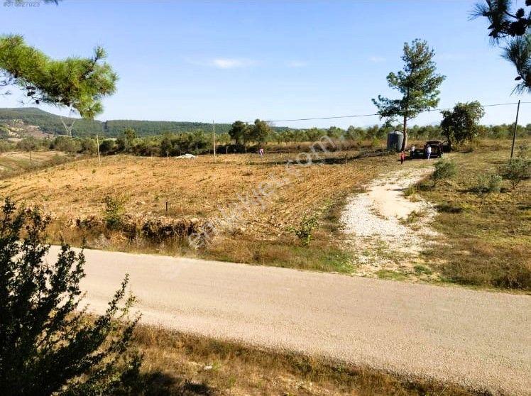 Çanakkale Eceabat Bigalı'da Denize Yakın Asfalta Cepheli Kupon Cevizlik