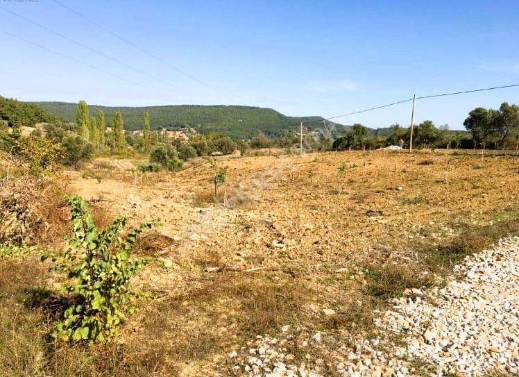 Çanakkale Eceabat Bigalı'da Denize Yakın Asfalta Cepheli Kupon Cevizlik - Görsel 3