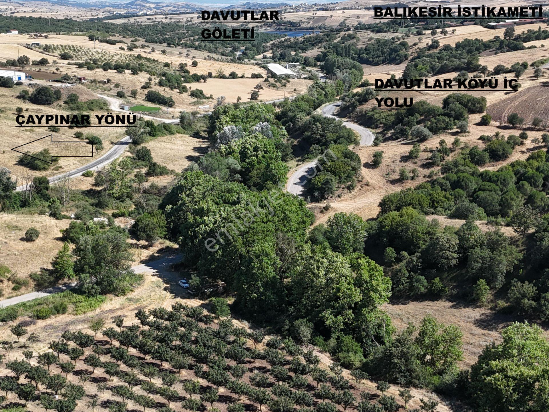 Rookz Balşehir Gayrimenkul'den Davutlar Yakını Satılık Tarla ( Ayva Bahçesi ) - Görsel 10