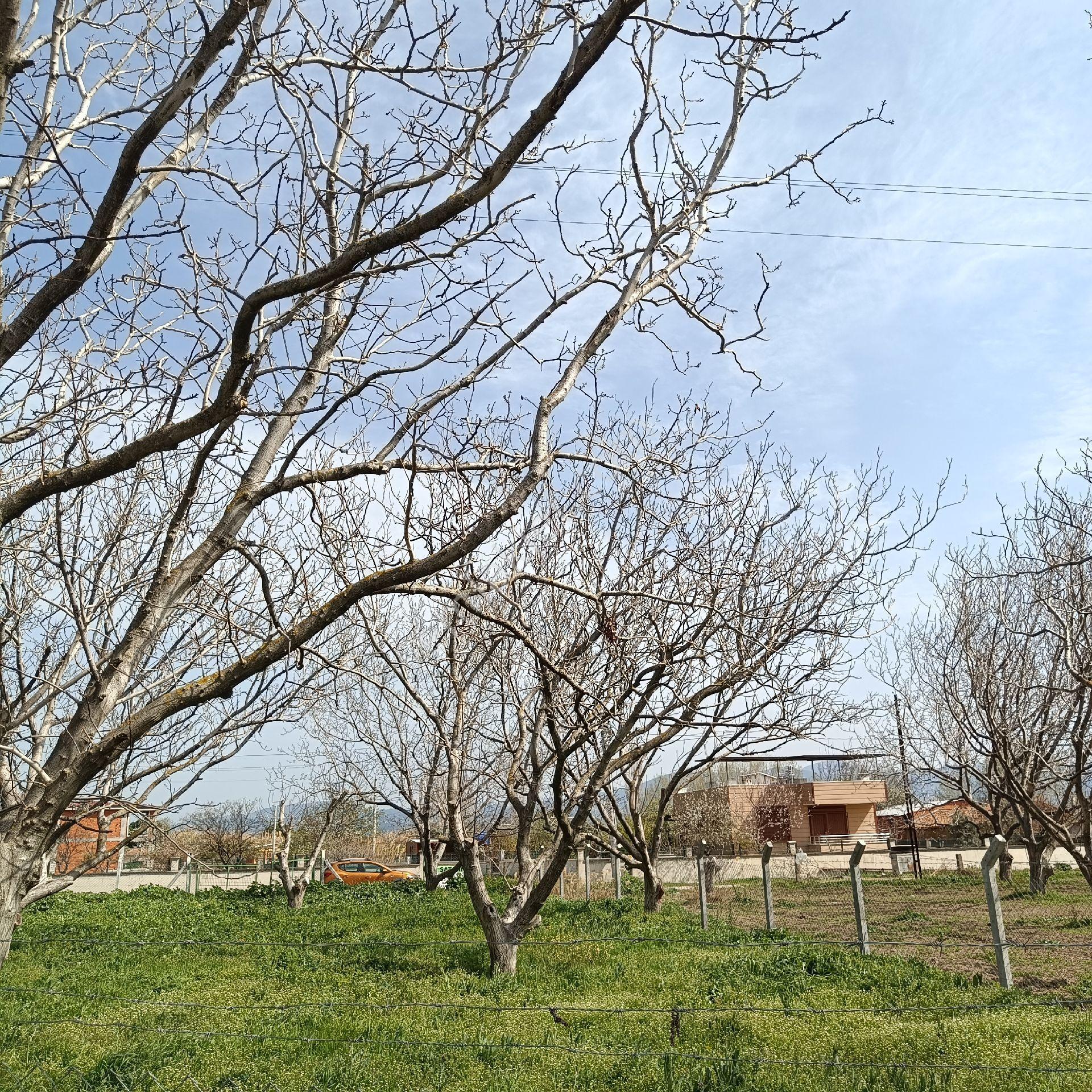 Burhaniye Çoruk Mahallesinde Satılık Arsa - Görsel 3