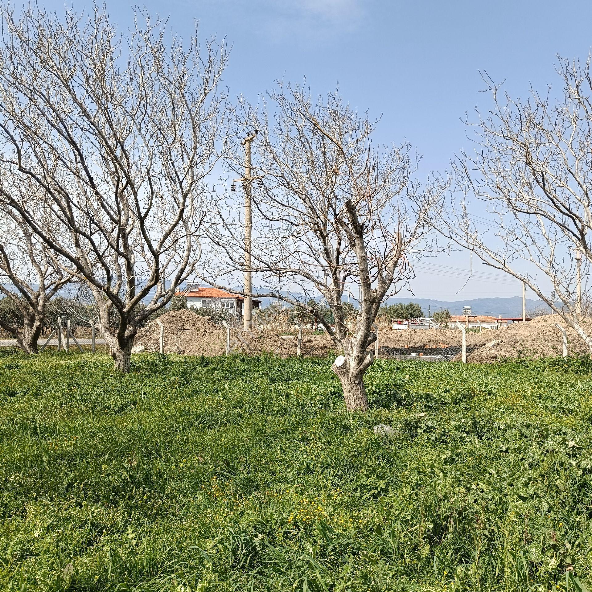 Burhaniye Çoruk Mahallesinde Satılık Arsa - Görsel 5