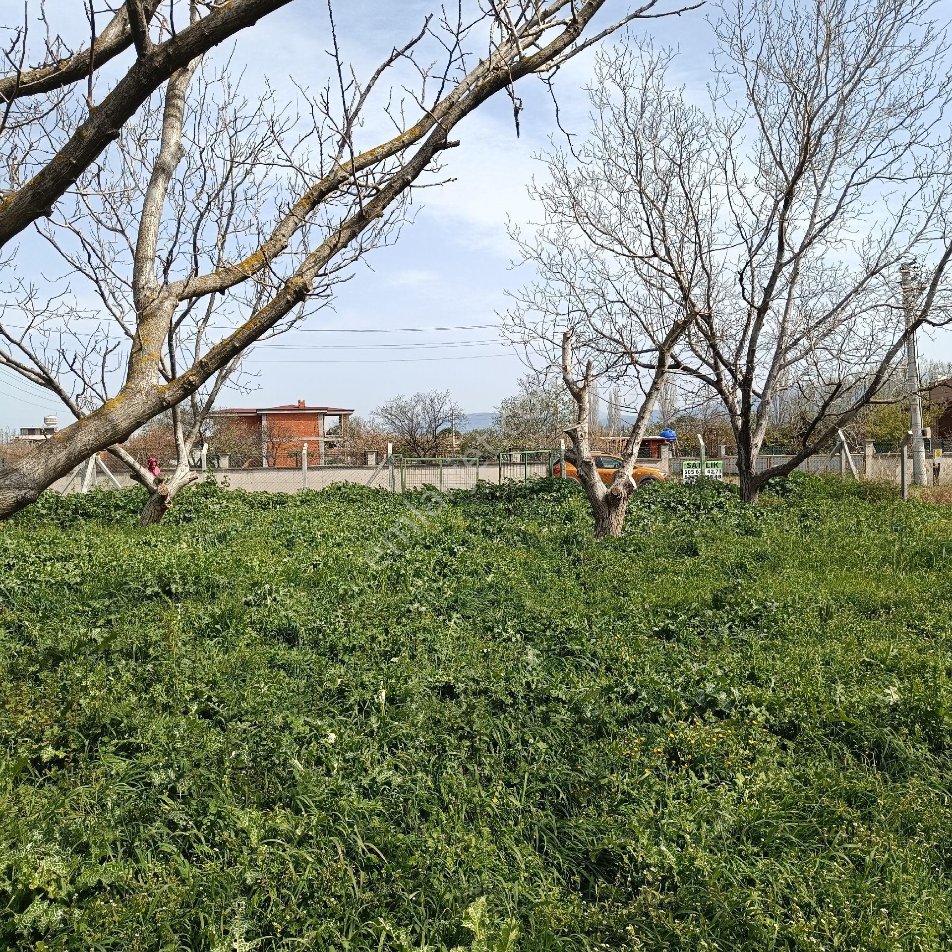 Burhaniye Çoruk Mahallesinde Satılık Arsa - Görsel 11