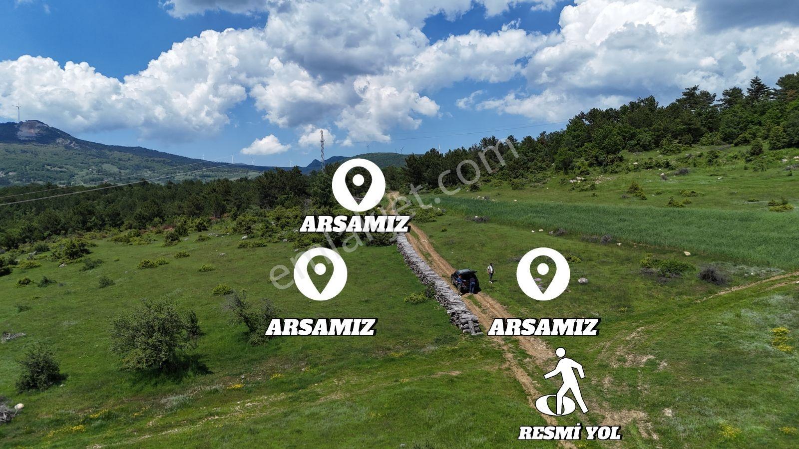 3 Tapu 3'de Resmi Yola Cephe Toplam 4480 M2 Tapu Alanı Kaçmaz - Görsel 22