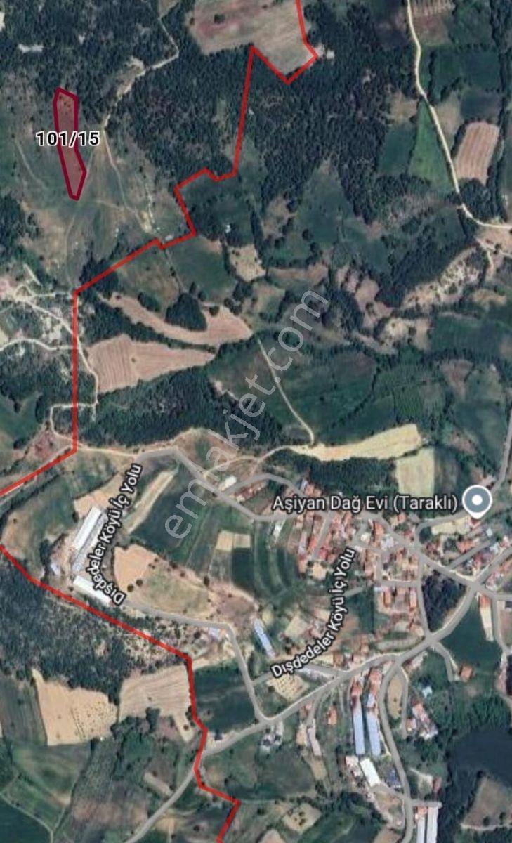 3 Tapu 3'de Resmi Yola Cephe Toplam 4480 M2 Tapu Alanı Kaçmaz - Görsel 7