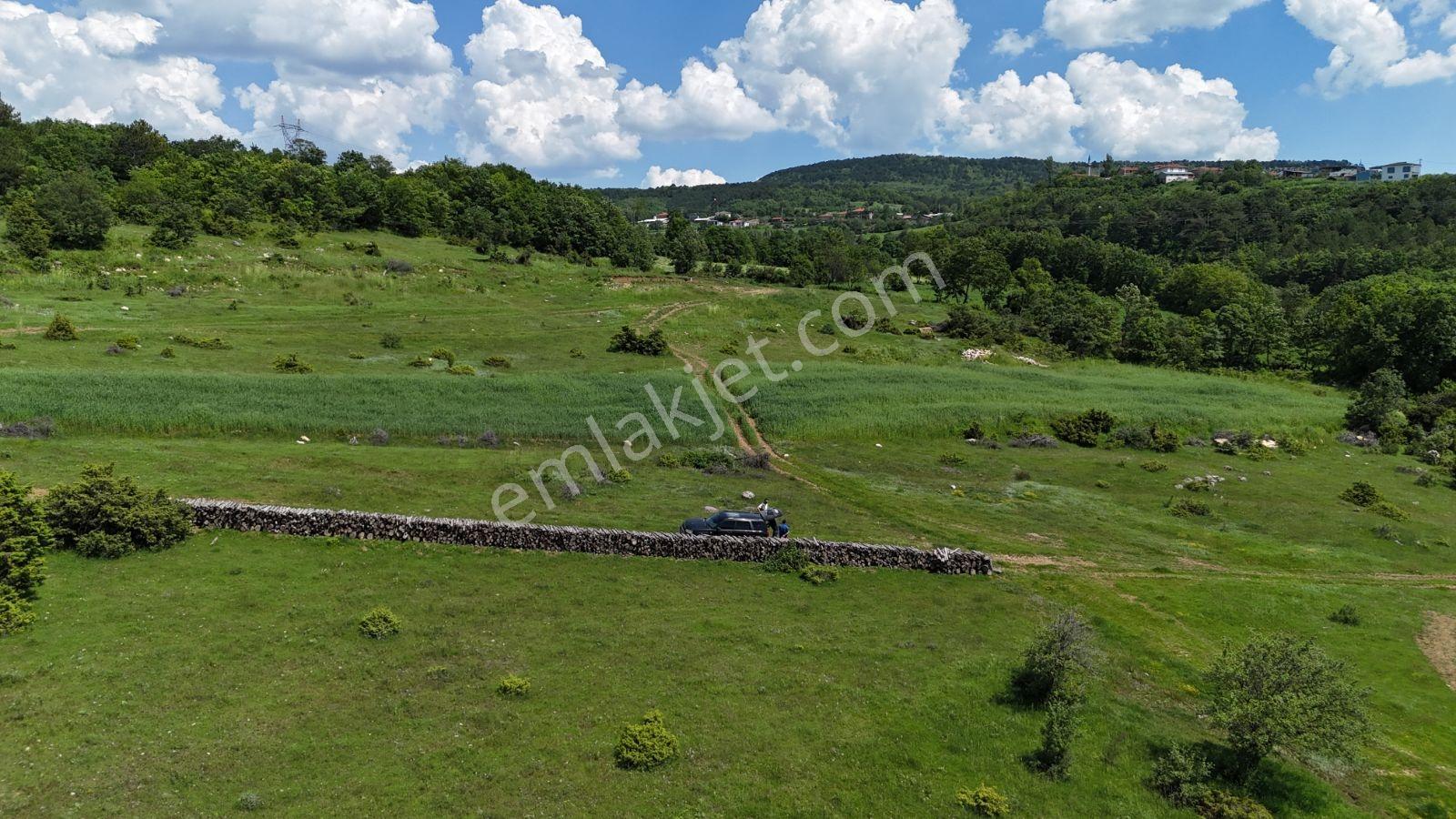 3 Tapu 3'de Resmi Yola Cephe Toplam 4480 M2 Tapu Alanı Kaçmaz - Görsel 21