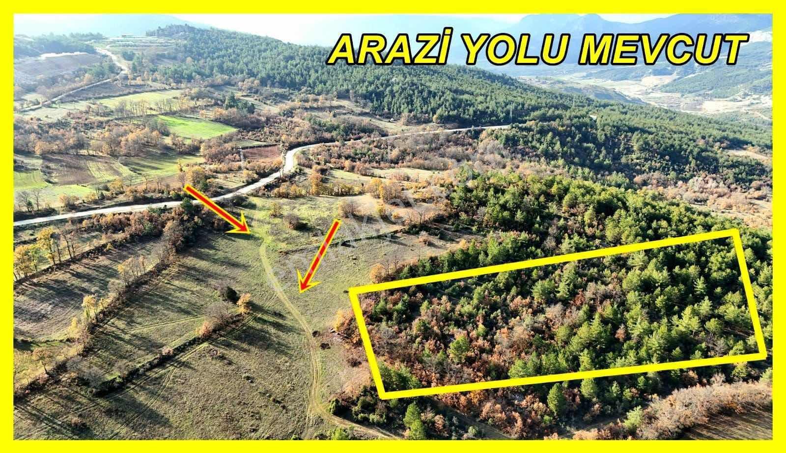 Bilecik Gölpazarı Kasımlarda Satılık 3.841 M² Arazi - Görsel 6