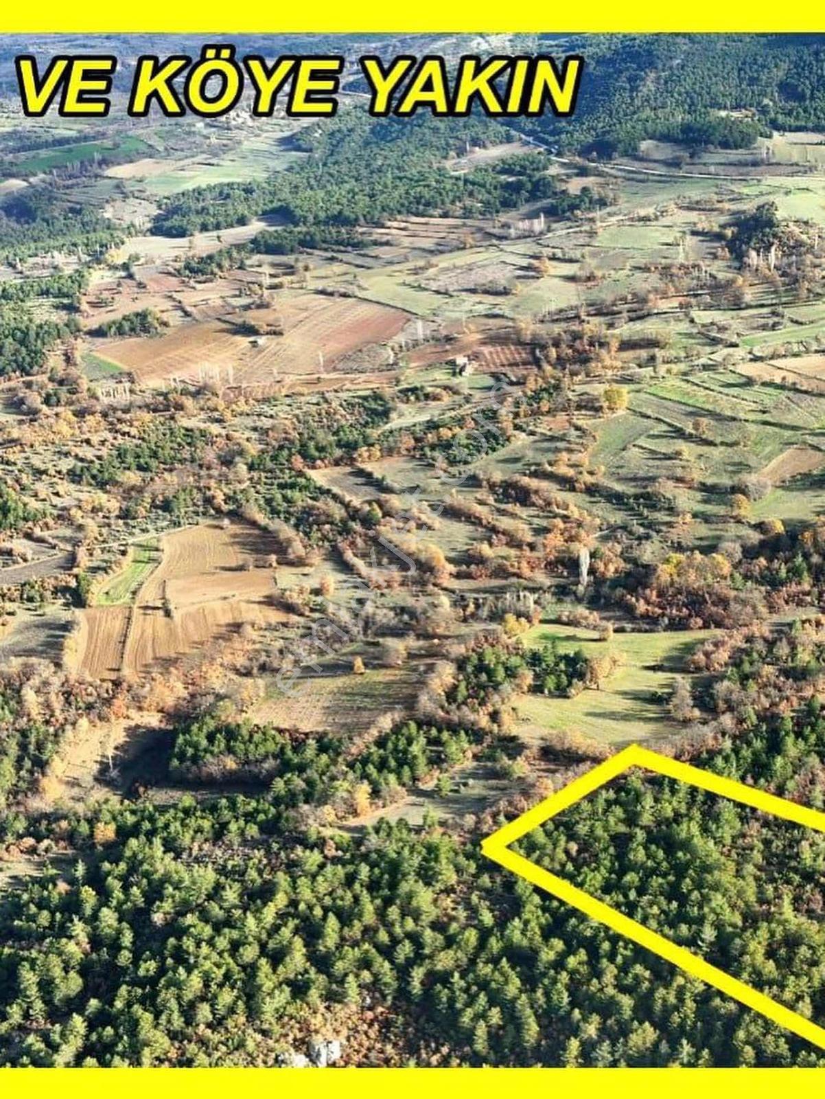 Bilecik Gölpazarı Kasımlarda Satılık 3.841 M² Arazi - Görsel 9