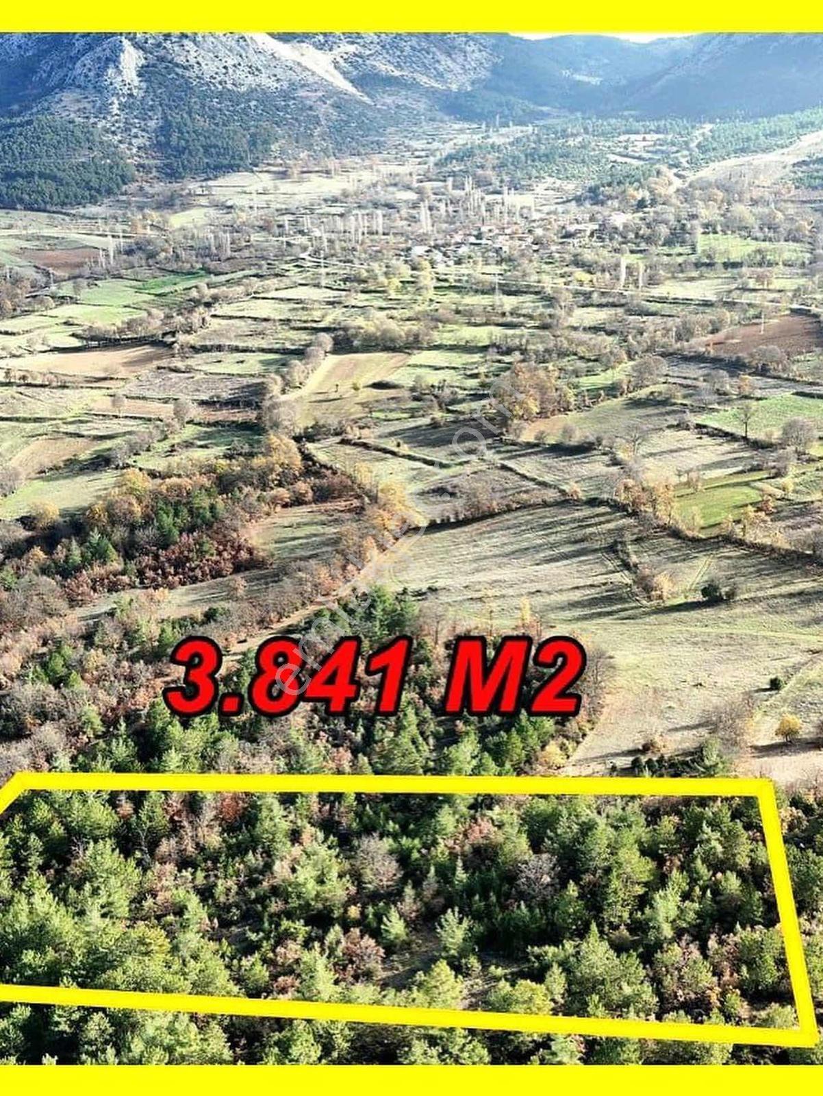 Bilecik Gölpazarı Kasımlarda Satılık 3.841 M² Arazi - Görsel 8