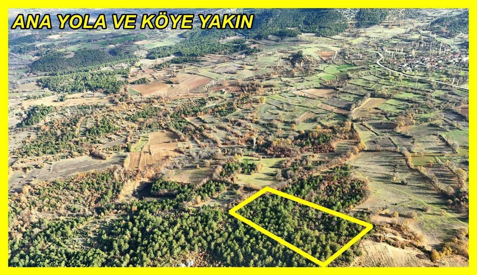 Bilecik Gölpazarı Kasımlarda Satılık 3.841 M² Arazi - Görsel 5