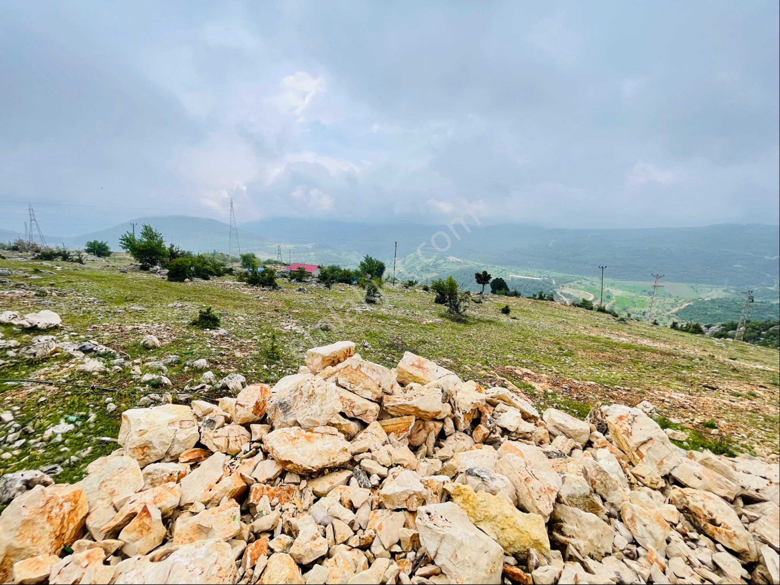 Ra Gayrmenkul Çamlıyayla Sarıkavak Hayvancılığa Uygun Satılık Arazi - Görsel 25