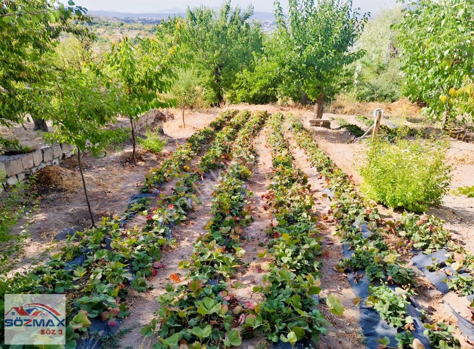 Hacılar Aşağı Mahalle Manzaralı 653 M2 Villa Parselli Bağ Evi - Görsel 15