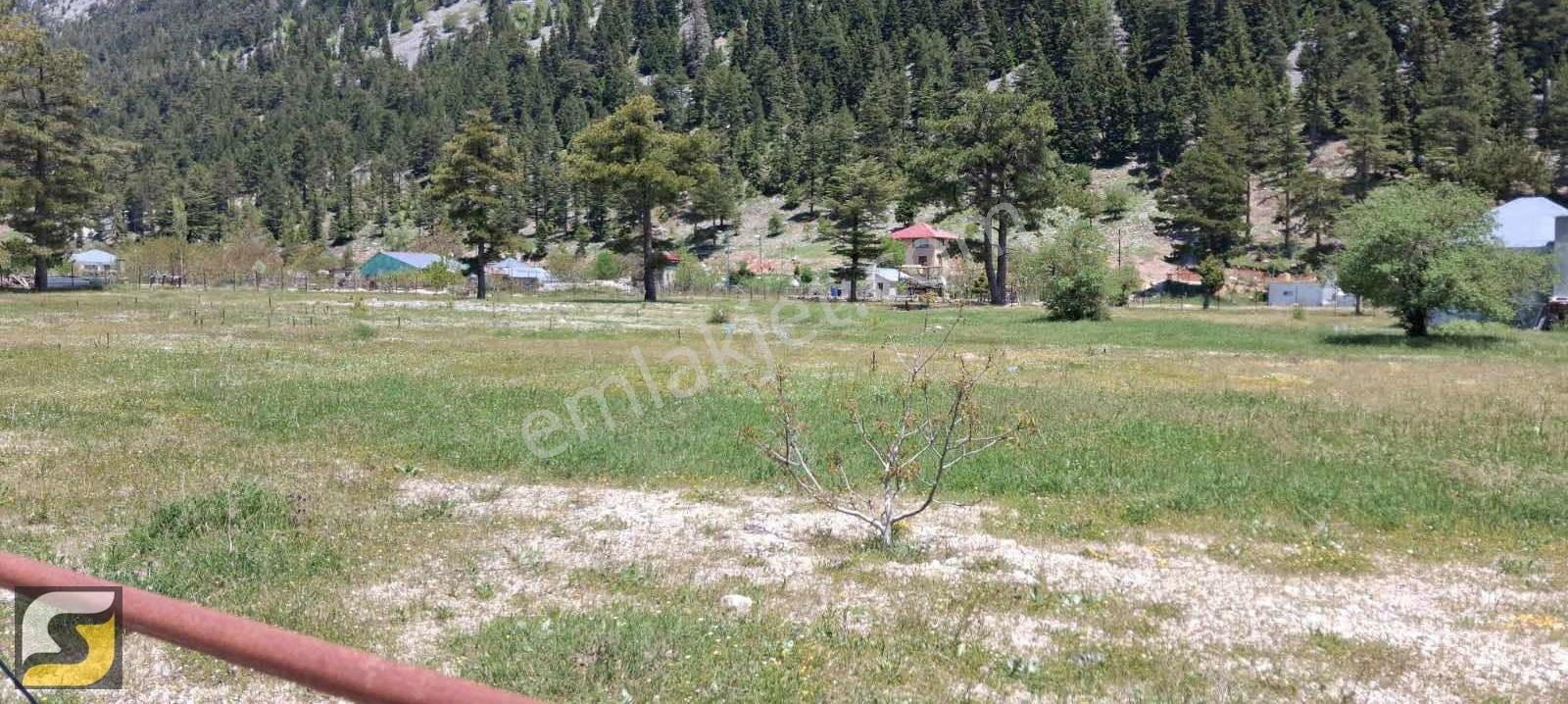 Alanya Çökele Yaylasında Satılık 2.169 M2 Tarla - Görsel 4