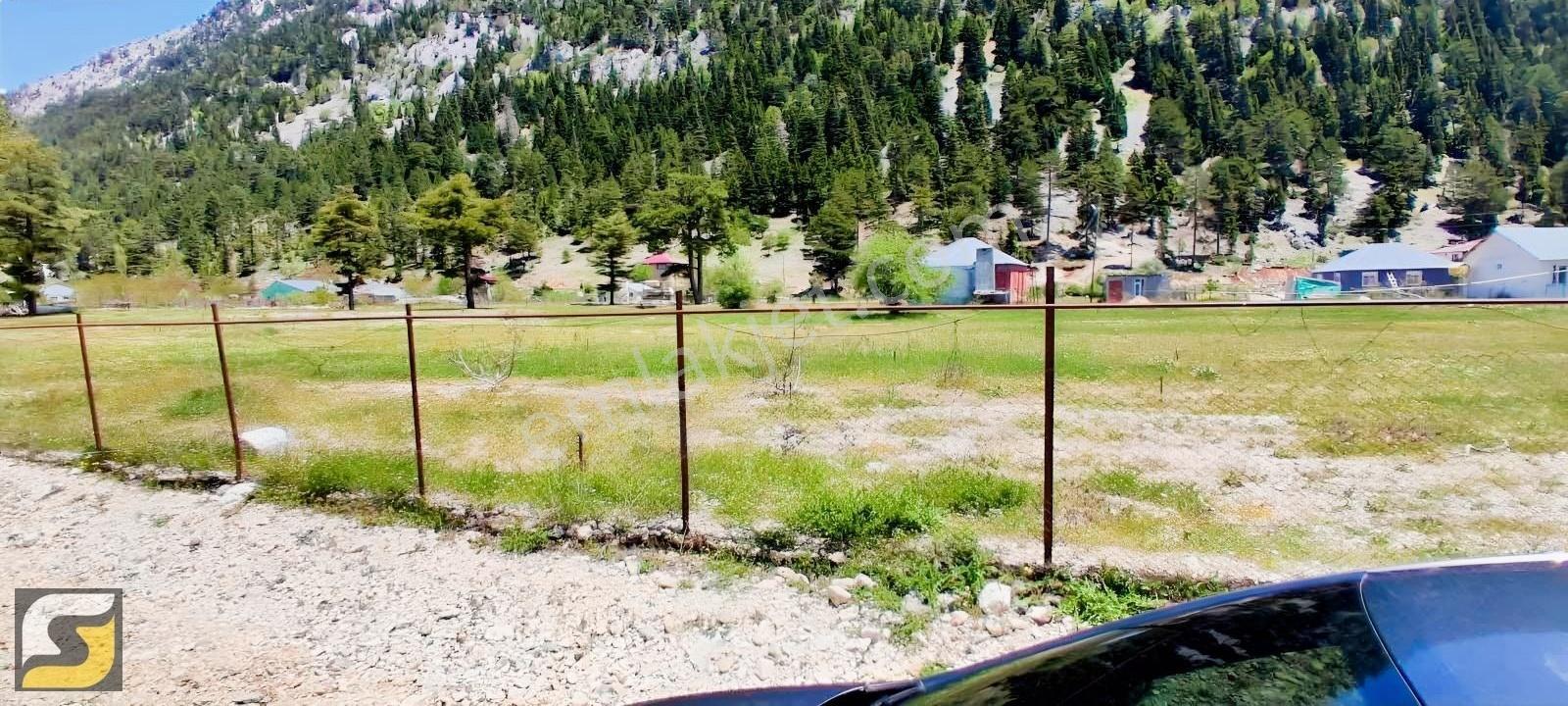 Alanya Çökele Yaylasında Satılık 2.169 M2 Tarla