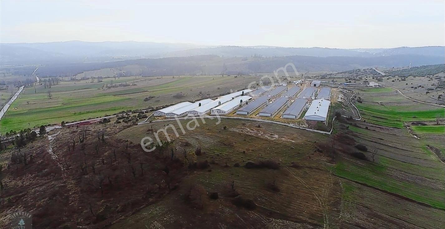 İzmit Şahinler'de 775 M2 Tek Tapu Tarla - Görsel 2