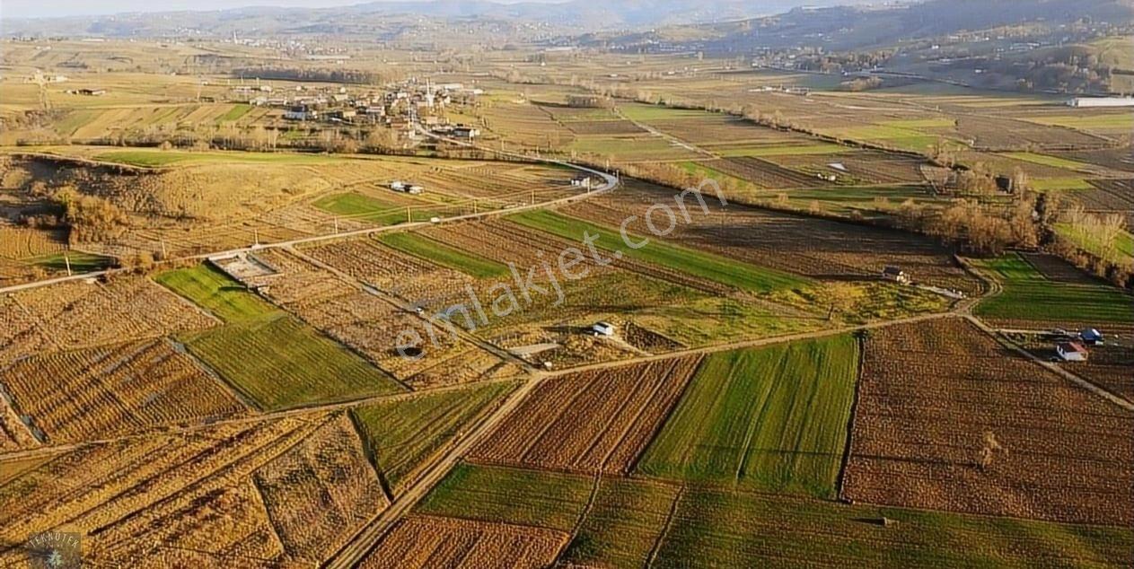 Derince Karagöllü'de 9 Dönüm Yola Cephe Tarla - Görsel 11