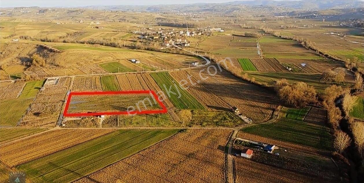 Derince Karagöllü'de 9 Dönüm Yola Cephe Tarla - Görsel 6