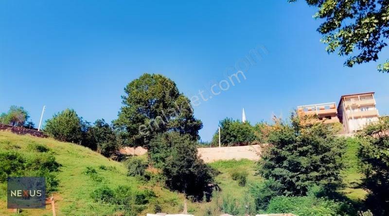 Kocaeli Hereke'de Konut İmarlı 443,50 M² Satılık Fırsat Arsa - Görsel 3