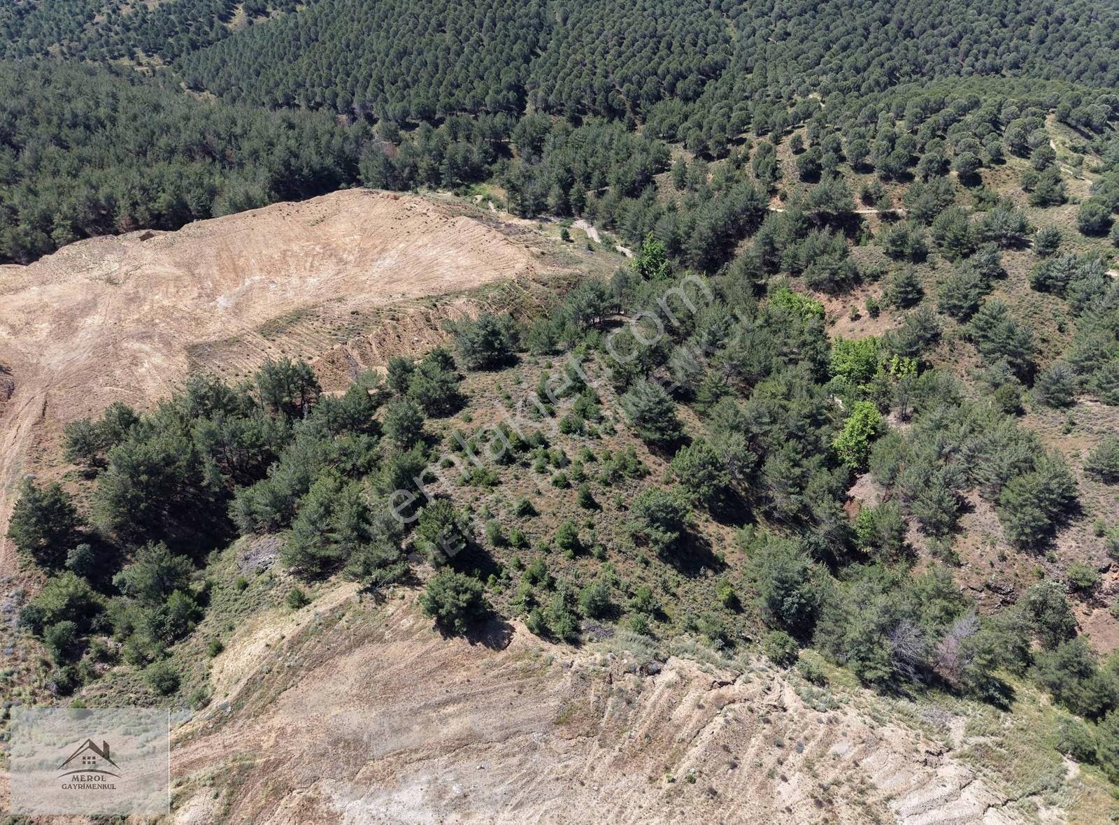 Ayvalık Çamoba Mahallesi'nde Villa Yapımına Uygun Satılık Arsa - Görsel 13