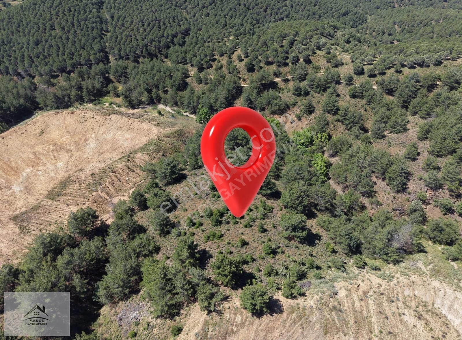 Ayvalık Çamoba Mahallesi'nde Villa Yapımına Uygun Satılık Arsa