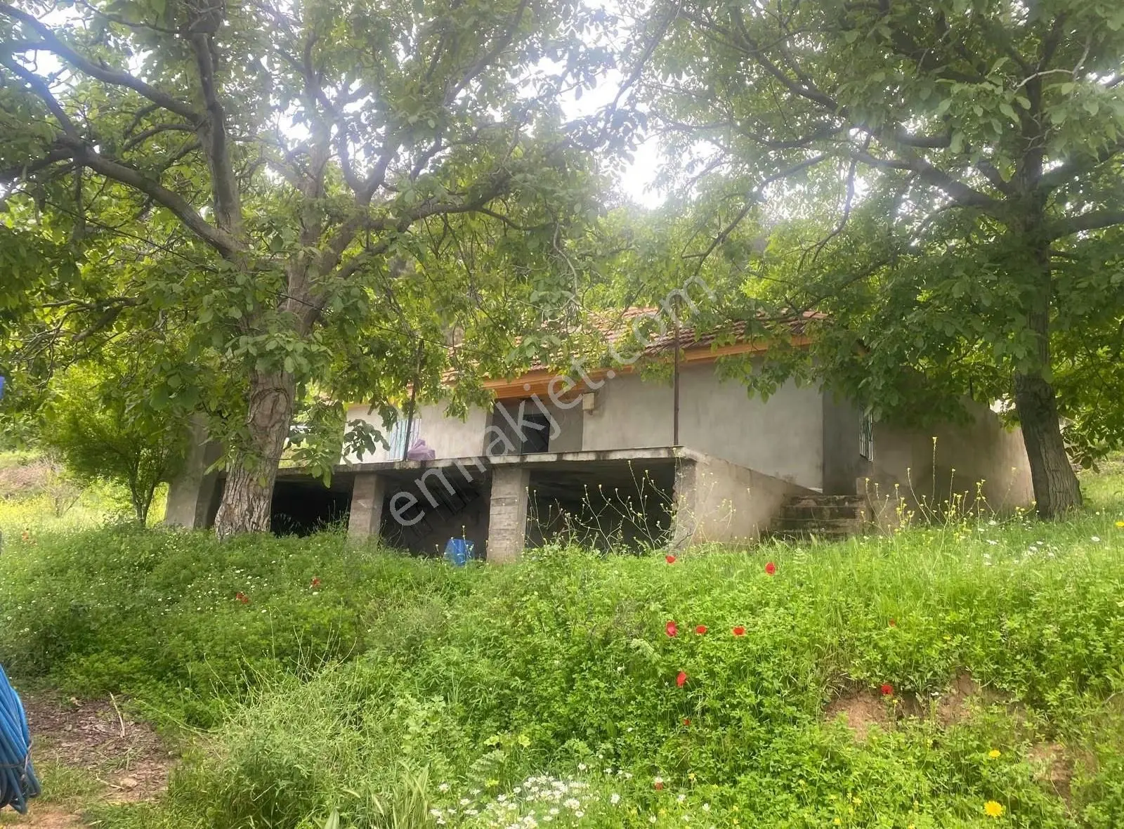 Alaşehir Sogukyurtta 25 Dönüm Ev Ve Bağ