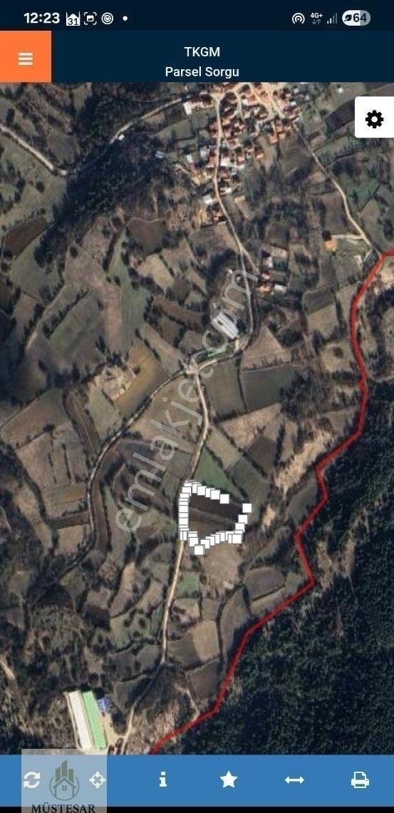 Müsteşar Emlaktan Kuzfındık Yol Kenarı 8.096m2 Satılık Tarla - Görsel 3