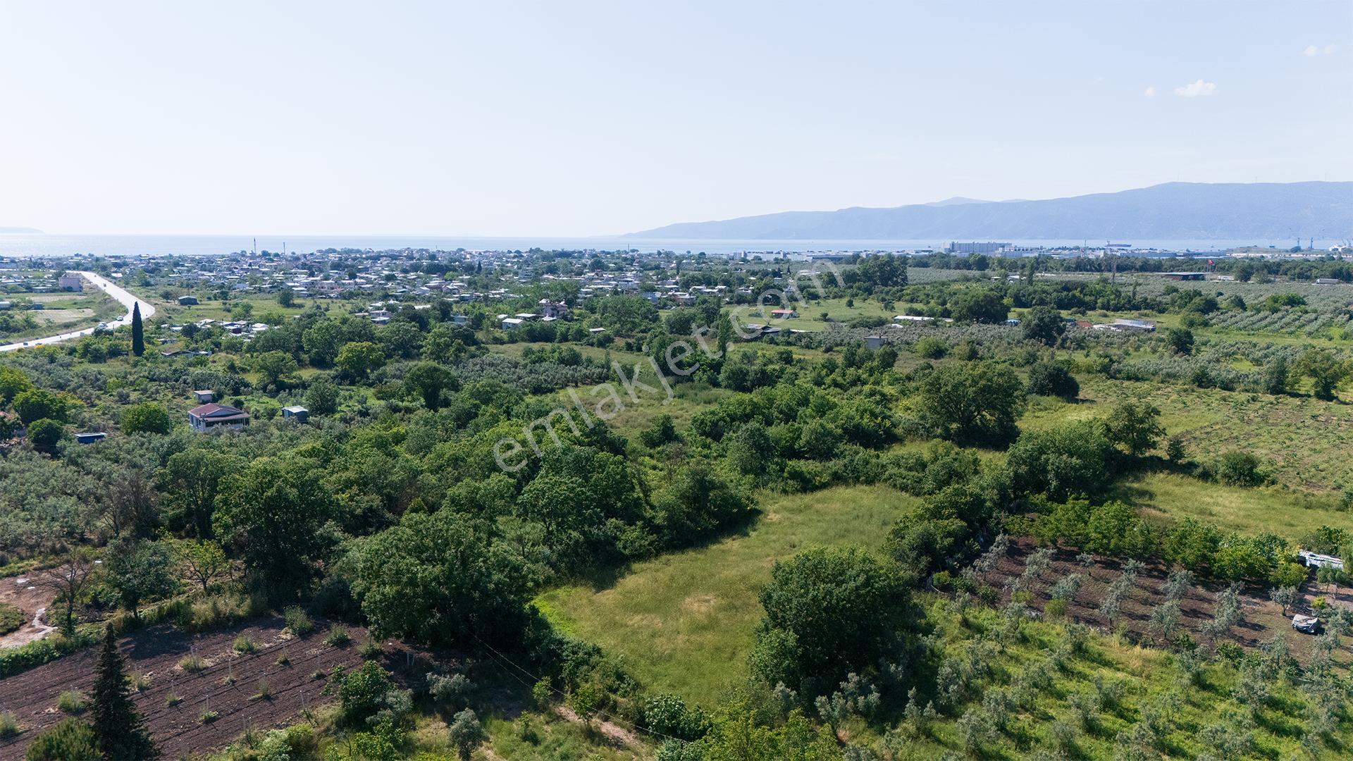 C21 Cius; Gençali'de Resmi Yola Yakın 3192 M2 Satılık Tarla - Görsel 4