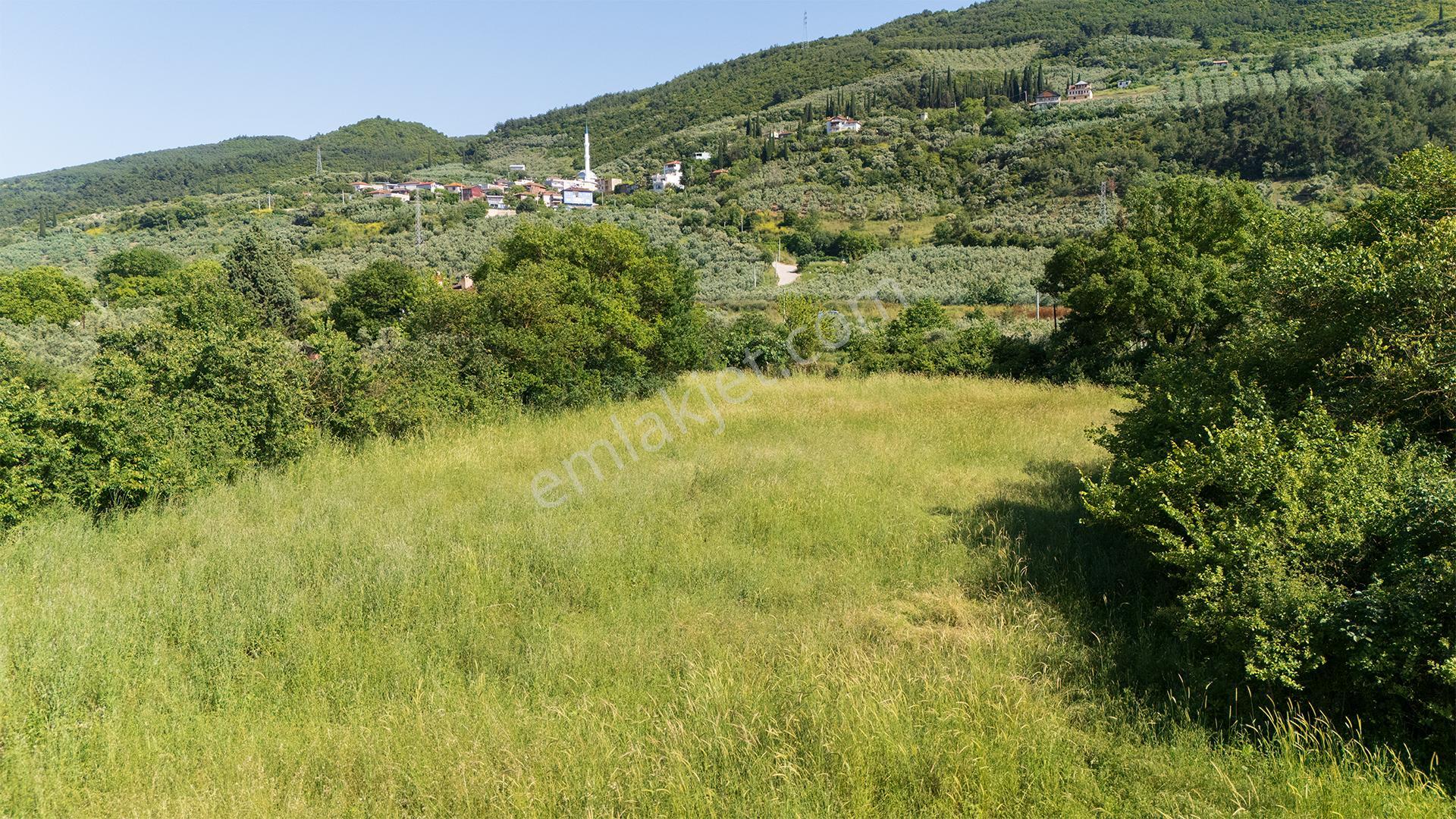 C21 Cius; Gençali'de Resmi Yola Yakın 3192 M2 Satılık Tarla - Görsel 8
